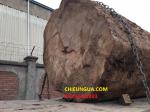 Phản gỗ|Phản gỗ gõ đỏ _ PGD008