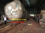 Sập gỗ|Sập gỗ Hương_SGH102
