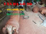 lục bình gỗ cẩm cao 198 x 58