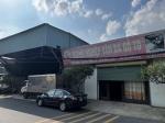 Tại Sao Quan Tài Gỗ Vàng Tâm Được Ưa Chuộng?