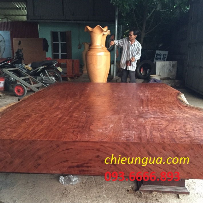 Chiếu ngựa Cẩm nam phi