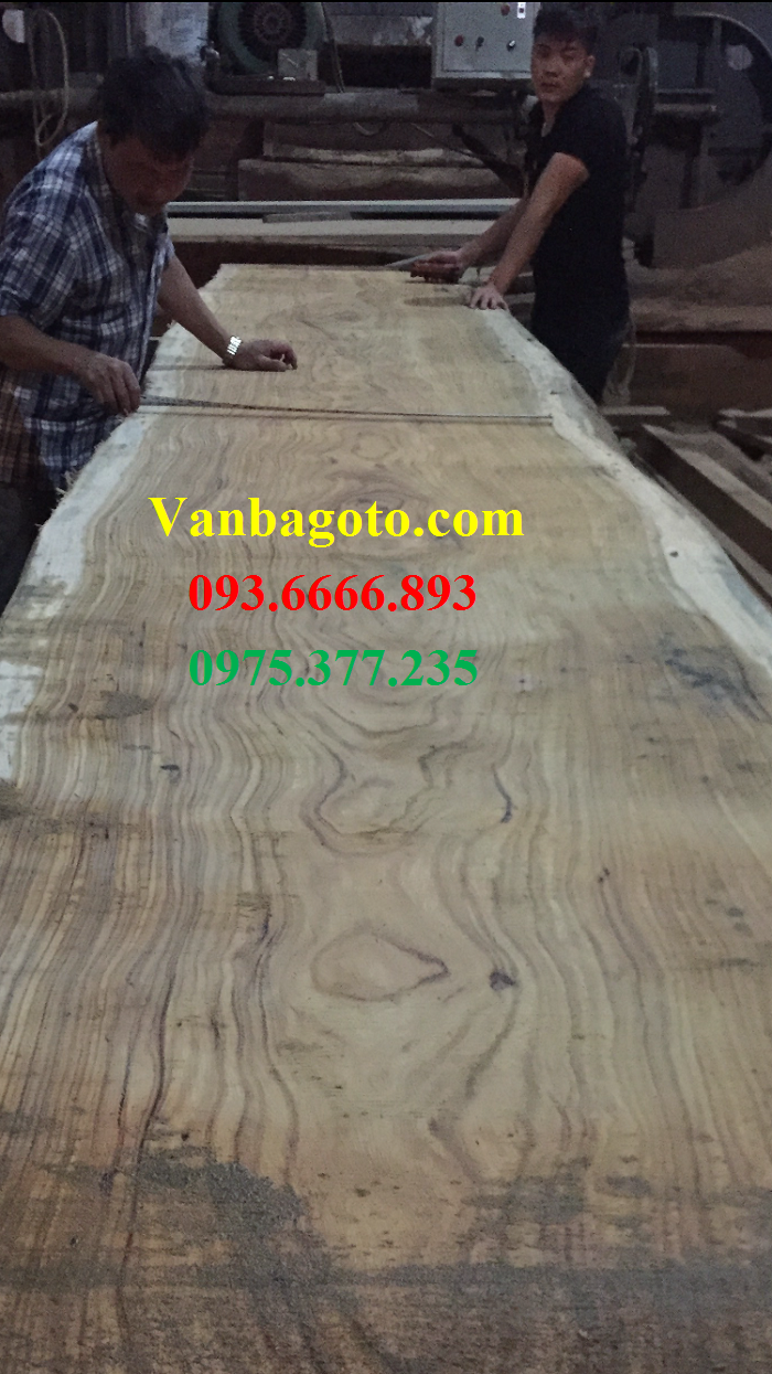 Giá Chiếu ngựa hương vân nam phi